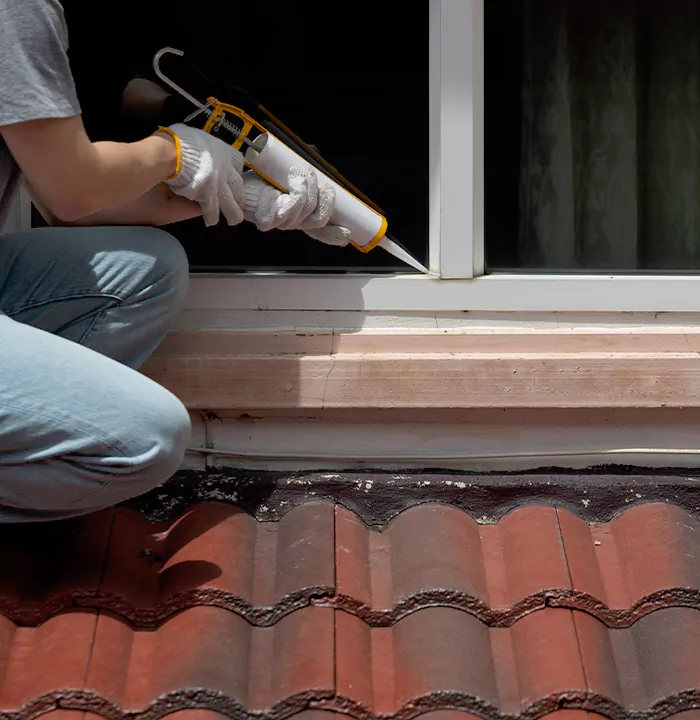 Roof Window Services in Santa Rosa, California