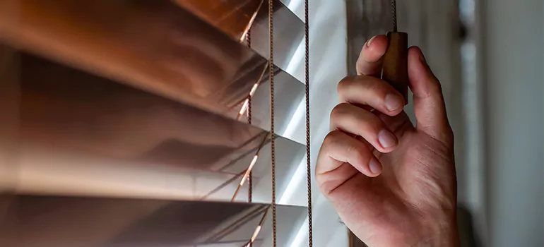 Double Roller Blinds in Santa Rosa, CA