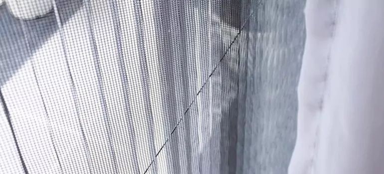 Fixing Screen Window Mesh in Santa Rosa, CA
