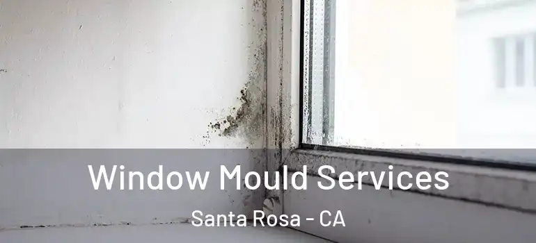  Window Mould Services Santa Rosa - CA